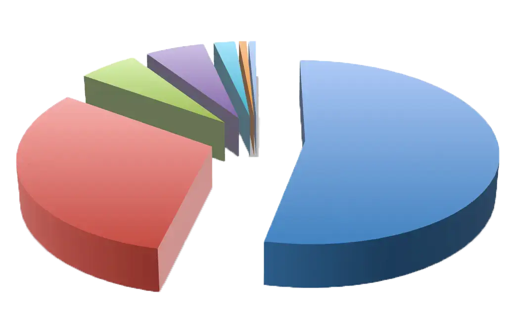 defect chart
